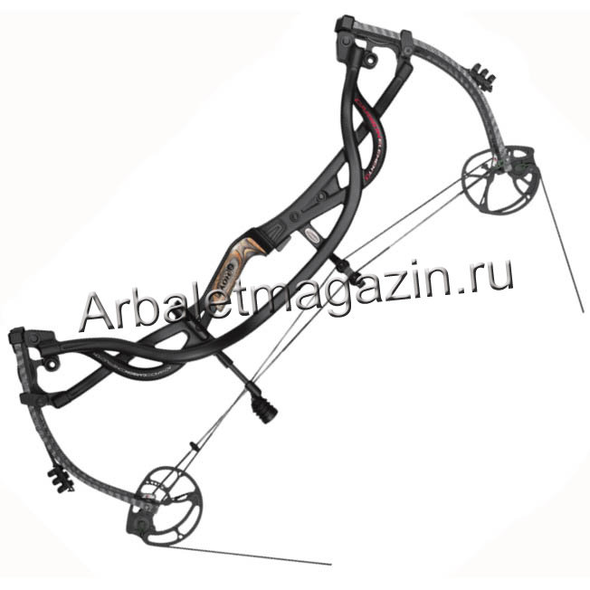 Hoyt Carbon Matrix RKT Compoundbogen (D'occasion) à Bad Ragaz pour CHF