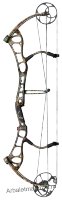 Anarchy Realtree APG