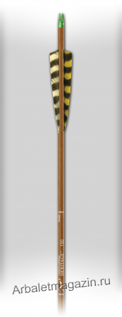 CX_Arrow_Heritage.png