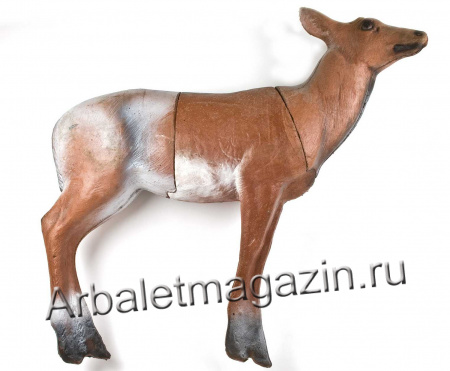 мишень_олень.jpg