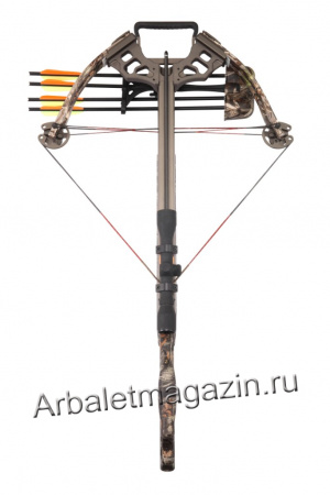 Arhont_4.jpg